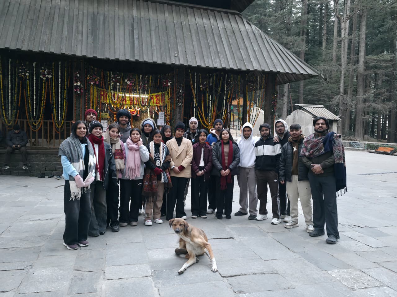 Alpine Thrills gallery — 2