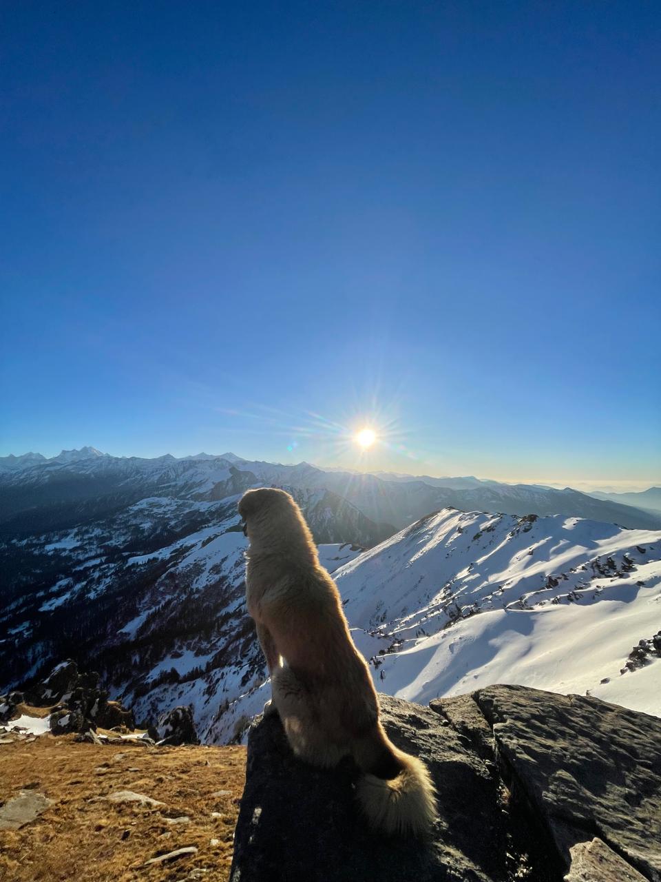 Alpine Thrills gallery — kedarkantha-3