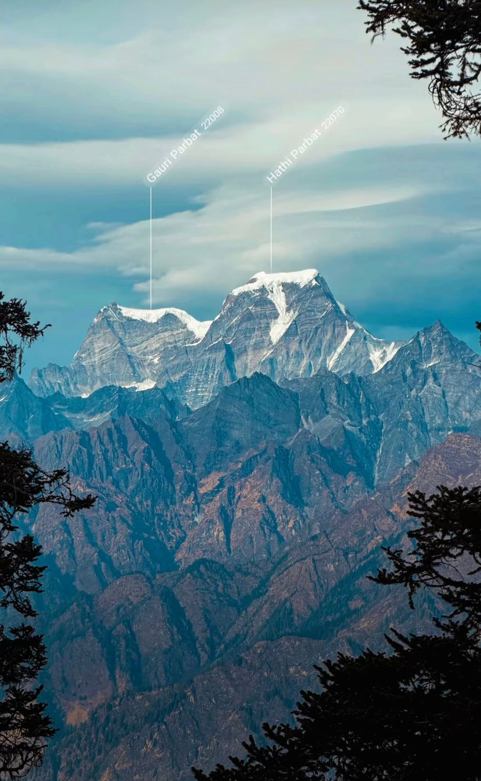 Alpine Thrills gallery — view